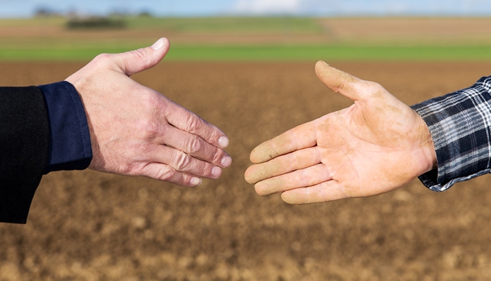 Le dispositif d'abandon des terres incultes aux communes est-il constitutionnel ?