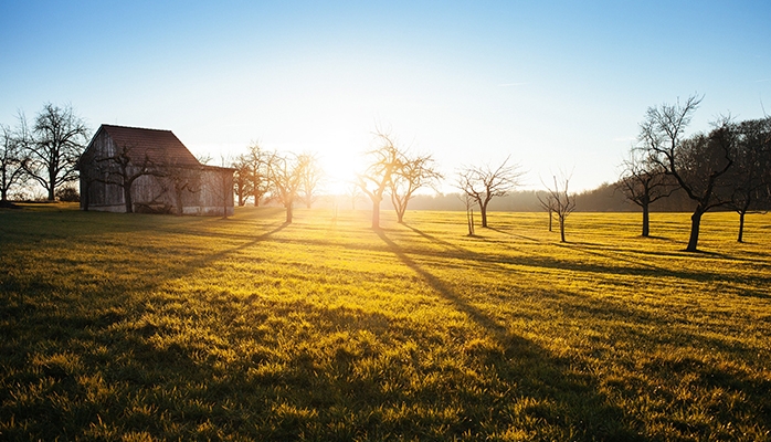 Bail rural et Covid-19 : report des délais