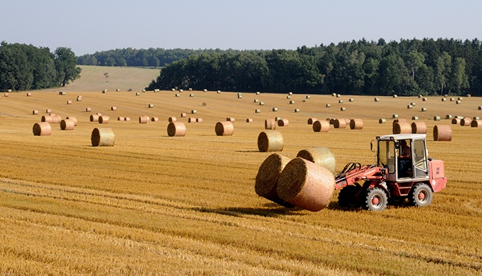 Pas de dévolution automatique au descendant du fermier âgé de deux ans