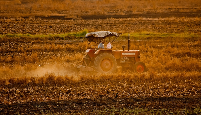  Le droit rural plonge ses racines dans la terre, comme la vigne…