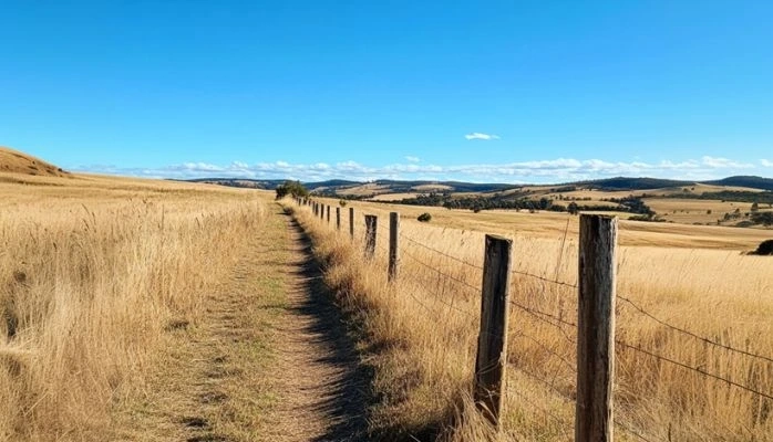Coopératives agricoles d’approvisionnement : toujours exonérées d’impôt sur les sociétés ?
